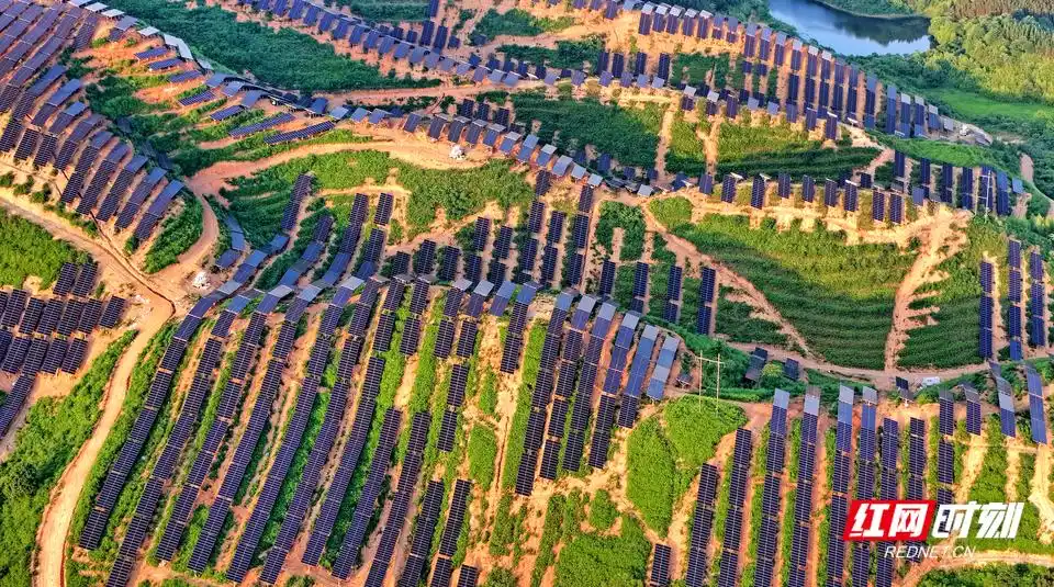 让荒山变成银山